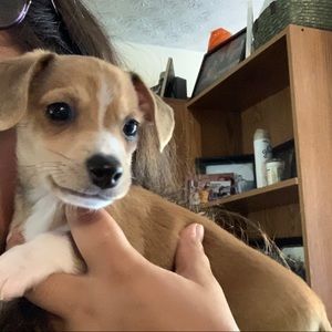 Meet your Posher, Mya